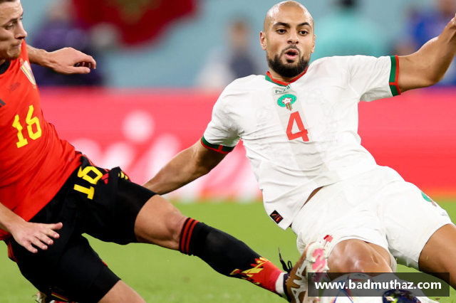 比利时和摩洛哥是什么颜色？(摩洛哥世界杯穿什么衣服？)